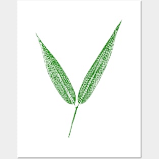 Bamboo Leaf Posters and Art